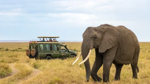 AMboseli